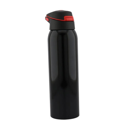TERMO PRO 6