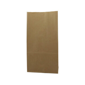 BOLSA DE PAPEL 8