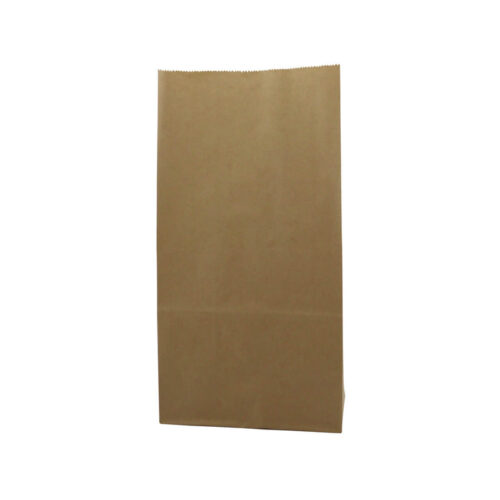 BOLSA DE PAPEL 8