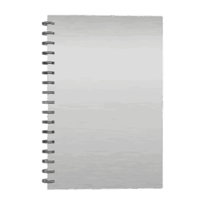 Cuadernos Argollado Pasta Dura 24x17 cm Plateado