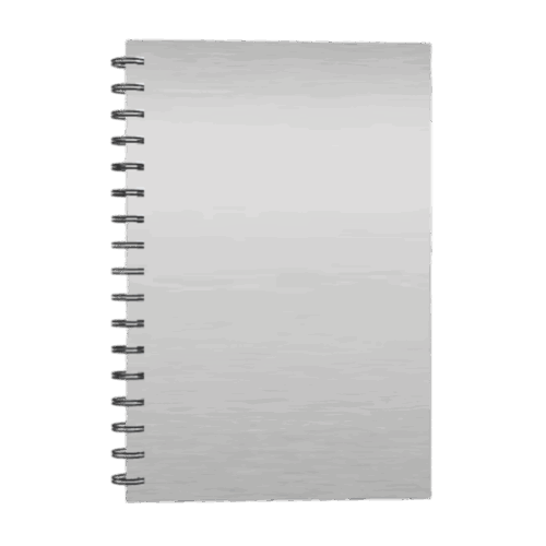 Cuadernos Argollado Pasta Dura 24x17 cm Plateado